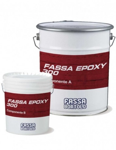 Fassa Epoxy 300 5Kg - Fassa Bortolo
